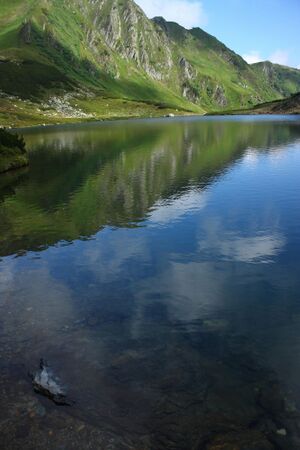 Untere riednersee 65385 2014-06-26.jpg