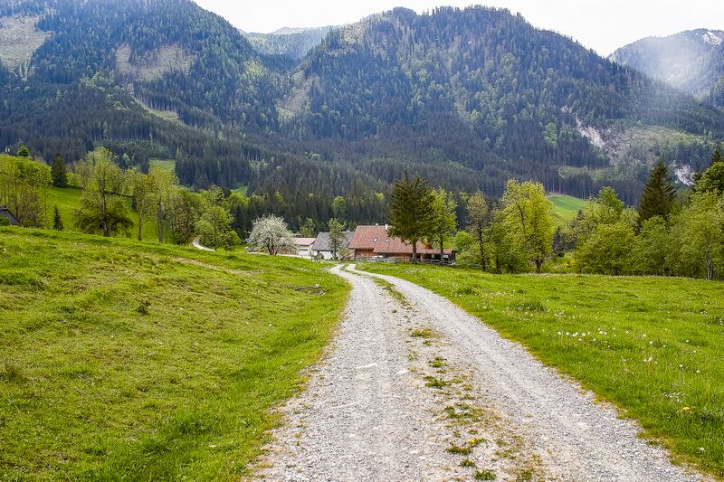 Datei:BH wolfbauer johnsbach-2002-2020-05-18-2.jpg