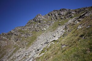 Farmrieseck 79091 2018-07-02.jpg