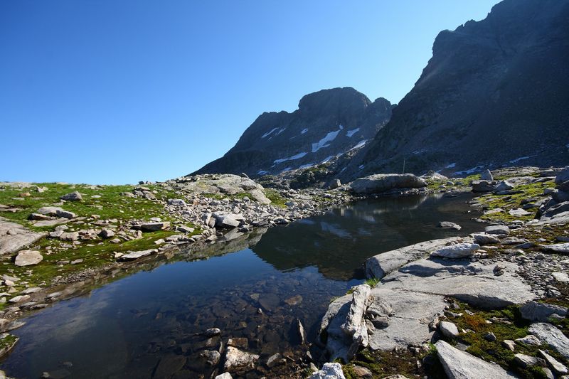 Datei:Goldlacken 0393 2008-08-12.jpg