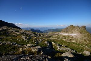 Goldlacken 0400 2008-08-12.jpg