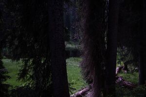 Grüne lacke kemetgebirge 97268 2015-07-16.jpg