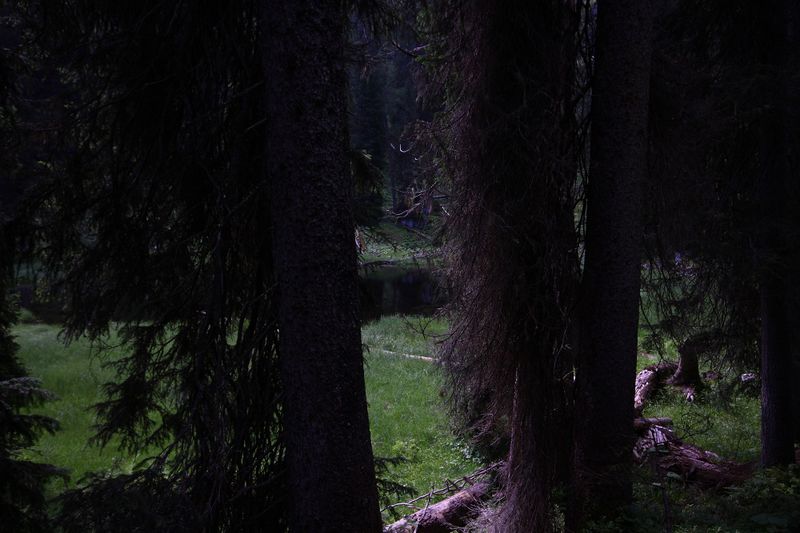 Datei:Grüne lacke kemetgebirge 97268 2015-07-16.jpg