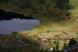 Griegelsee großsölk 71654 2014-09-16.jpg