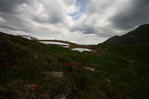 Hüttkarseen im Hüttkar 39330 2012-06-29.jpg