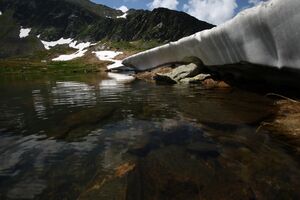 Hüttkarseen im Hüttkar 39420 2012-06-29.jpg