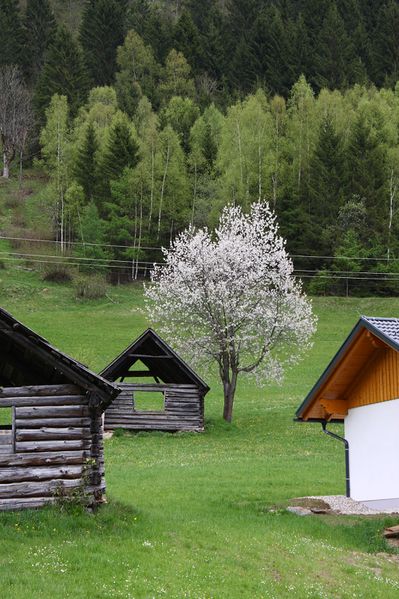 Datei:Heustadel sölkstubn 55964 2014-05-02.jpg