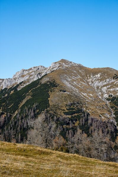 Datei:Hirscheck sumperalm-0028-2020-11-06.jpg