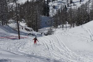 Hubsi-Lauf 2015-246 n.jpg