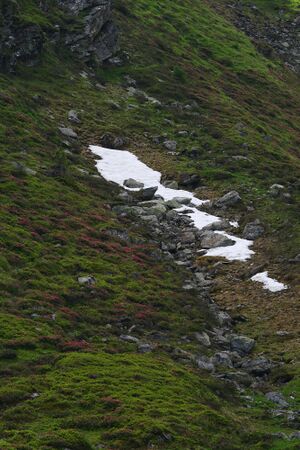 Im wildkar 23591 2008-06-26.jpg