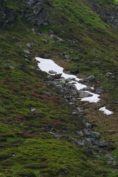 Datei:Im wildkar 23591 2008-06-26.jpg