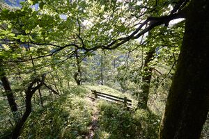 Kalvarienberg K-Landl-0179-2025-08-06.jpg