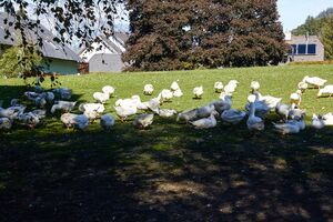 Landgut putterer-1001-2021-09-24-facebook-2.jpg