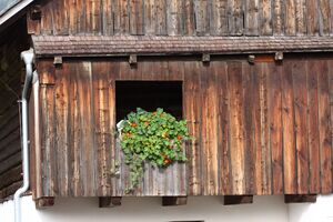 Mayerhofer-ramsau 1987 13-09-22.jpg