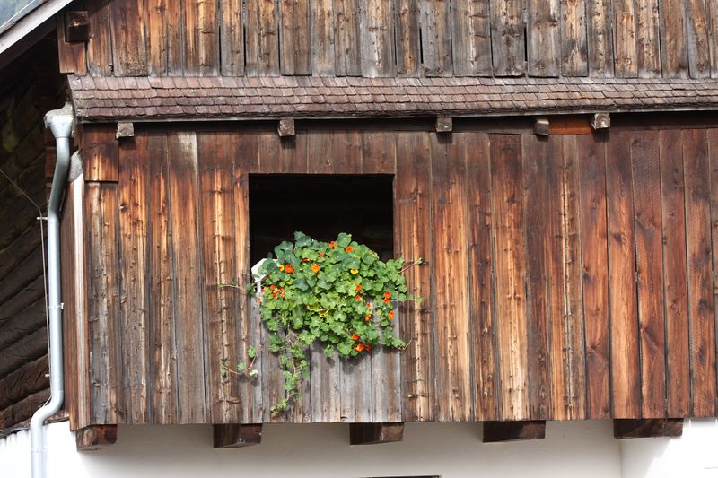 Datei:Mayerhofer-ramsau 1987 13-09-22.jpg