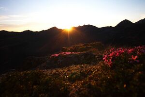 Nageleck sunrise 27420 2010-08-11.jpg