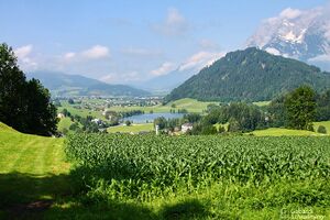 Putterersee 8007.jpg