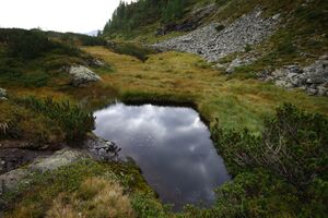 Südl see vom griegelsee 80000 2014-09-16.jpg