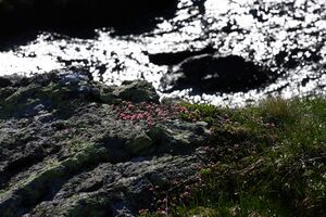 Sabinkar 89892 2015-06-08.jpg