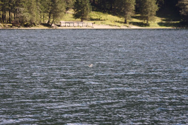 Datei:Schwarzensee kleinsölk 72567 2014-09-17.jpg