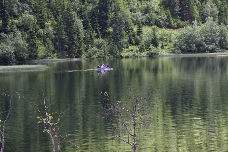 Datei:Bodensee seewigtal 63457 2014-06-21.jpg