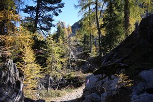 Elmgrube 2238 2011-10-16.jpg