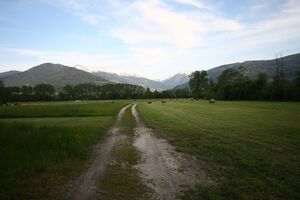 Enns-Altarme Niederstuttern 58444 2014-05-21.jpg