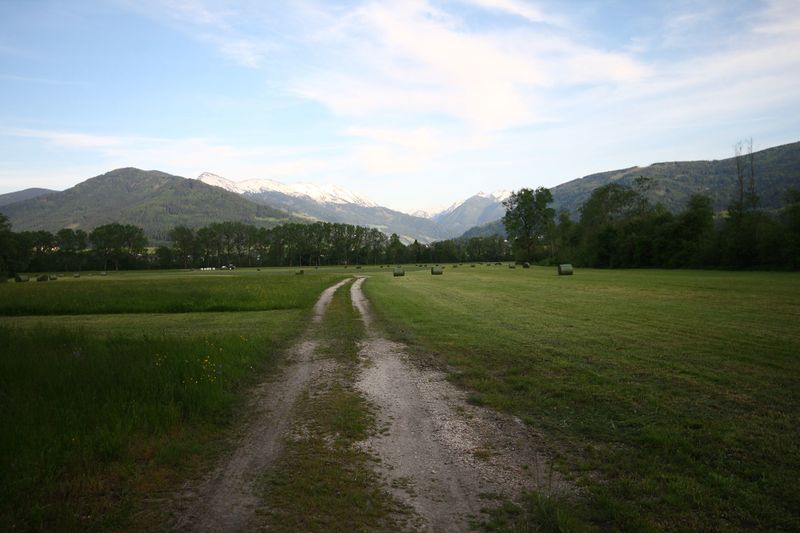 Datei:Enns-Altarme Niederstuttern 58444 2014-05-21.jpg