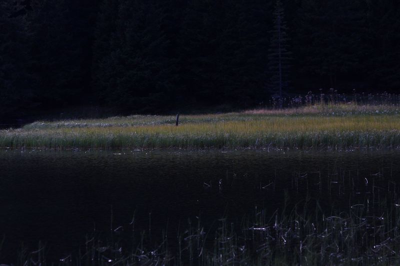 Datei:Etrachsee 4935 13-09-04.jpg