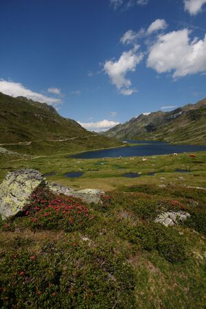 Giglachsee 1332 2011-06-22.jpg