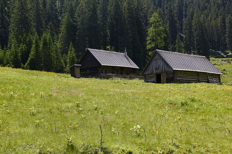 Datei:Grössingeralm johnsbach-2007-2021-07-03.jpg