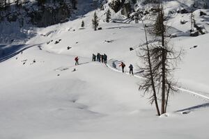 Große wiesmahd 97978 2015-01-13.jpg