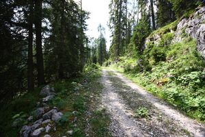 Lucken kemetgebirge 97278 2015-07-16.jpg