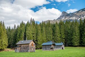 Manuel Capellari CAP2005011339551.jpg