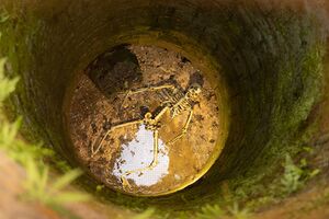 Manuel Capellari CAP2205281455324.jpg