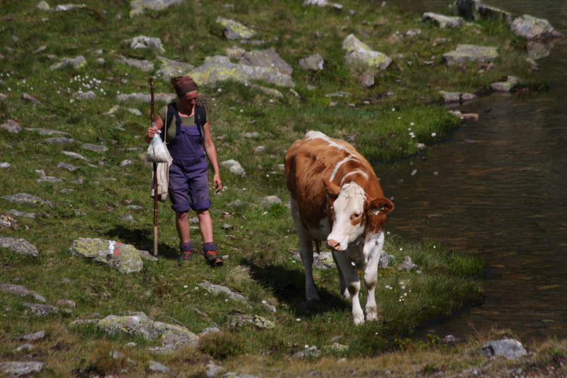 Datei:Oberer lanschitzsee 98092 2011-08-12.jpg