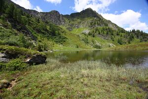 Schobersee 93174 2015-06-26.jpg