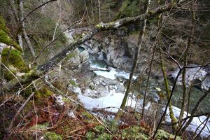 Strubschlucht 34046 2014-01-17.jpg