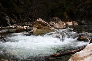 Strubschlucht 34422 2014-01-20.jpg
