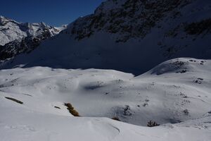 Wildkar 44992 2014-03-09.jpg