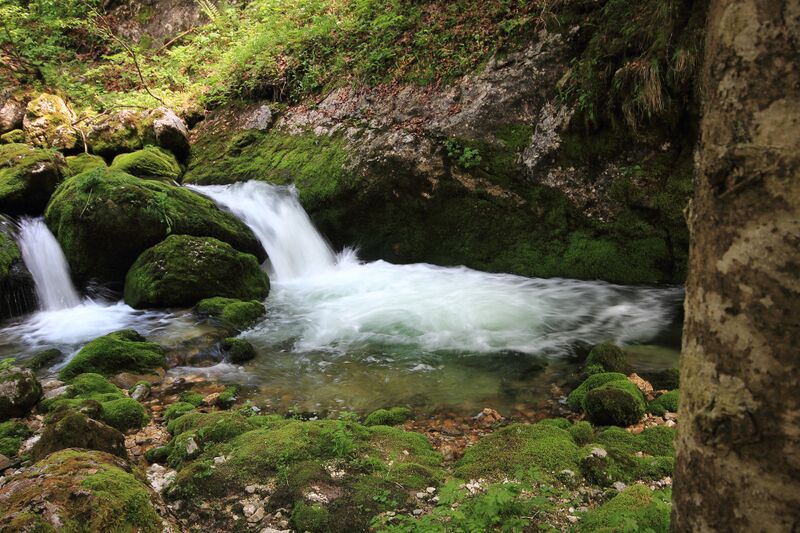 Datei:Zimitzbach grundlsee 77304 2018-06-04.jpg