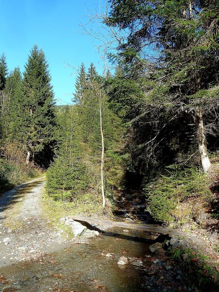 Datei:Bärndorfer Bach1660399.JPG