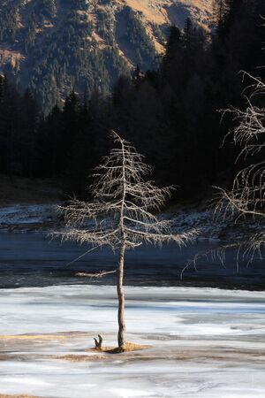 Duisitzkarsee 14345 2011-11-30.jpg