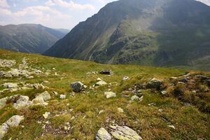 Glattjoch 1204 13-08-06.jpg