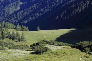 Gumpenkar 53240 2017-07-05.jpg