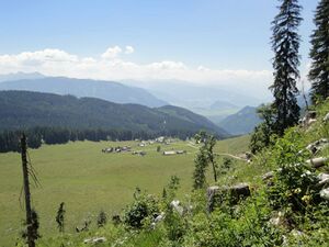 Hintereggeralm 2166 2013-09-22.jpg