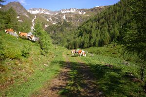 Katschtal 92560 2013-06-16.jpg