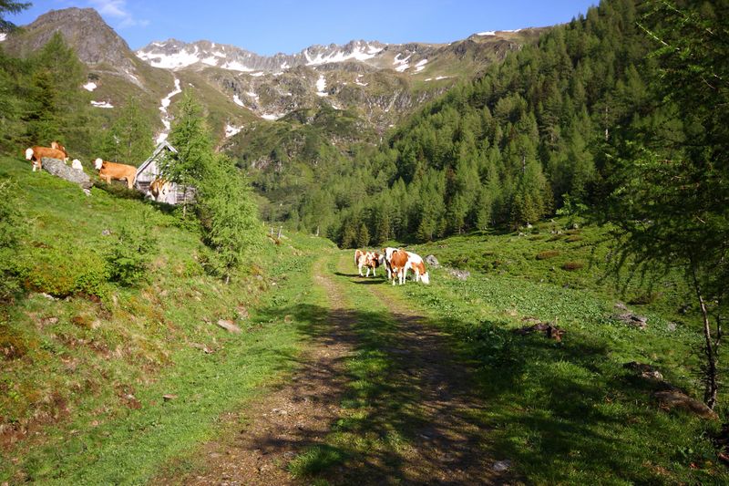 Datei:Katschtal 92560 2013-06-16.jpg