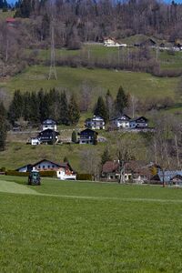 Kunagrün-0152-2021-04-23 09.51.39.jpg