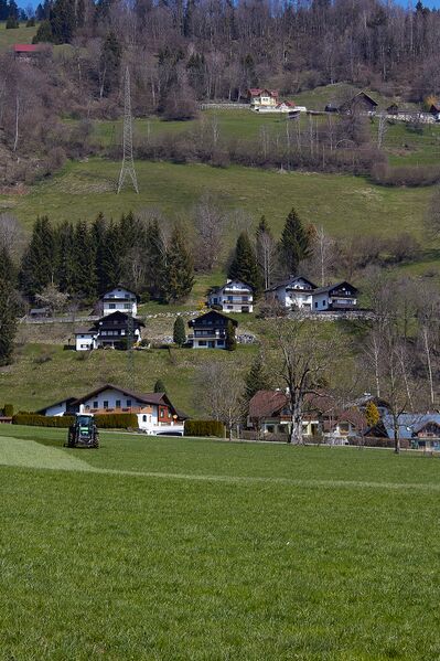 Datei:Kunagrün-0152-2021-04-23 09.51.39.jpg